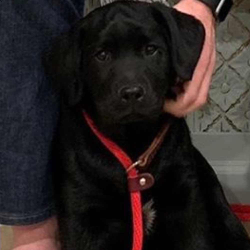 Meet your Posher, Clay